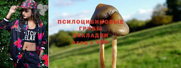 шишки Зерноград