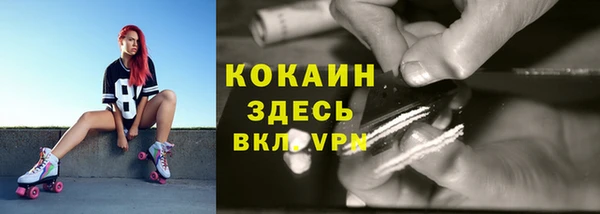 шишки Зерноград